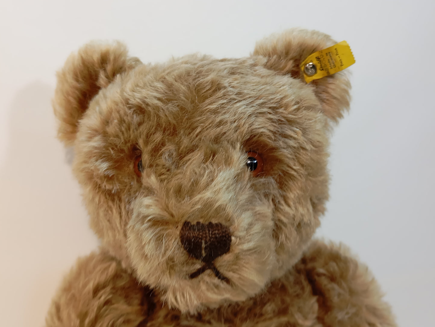 Steiff Bär Nr. 5350,02 Original Teddy mit Knopf (73279)