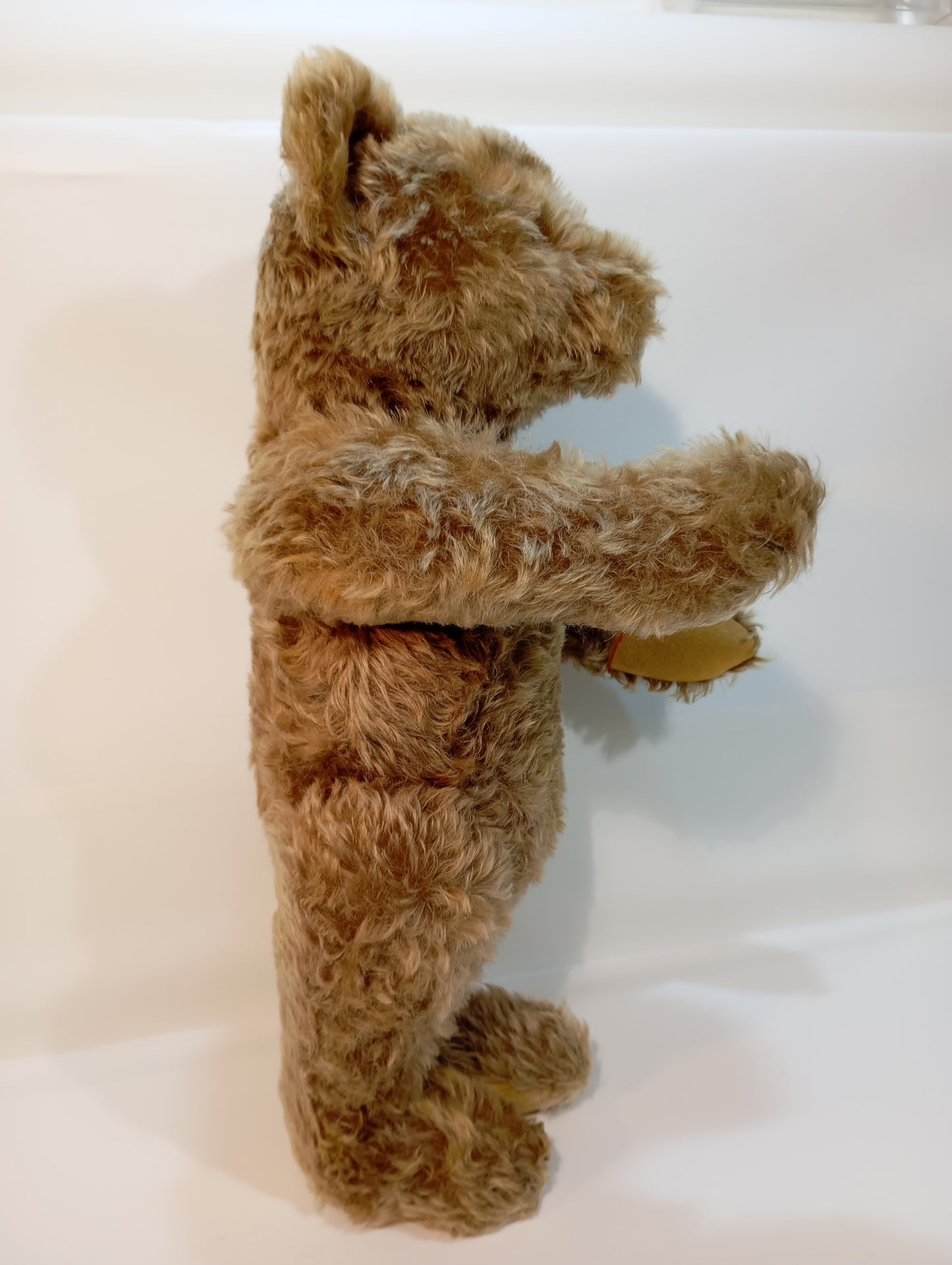 Steiff Bär Nr. 5350,02 Original Teddy mit Knopf (73279)