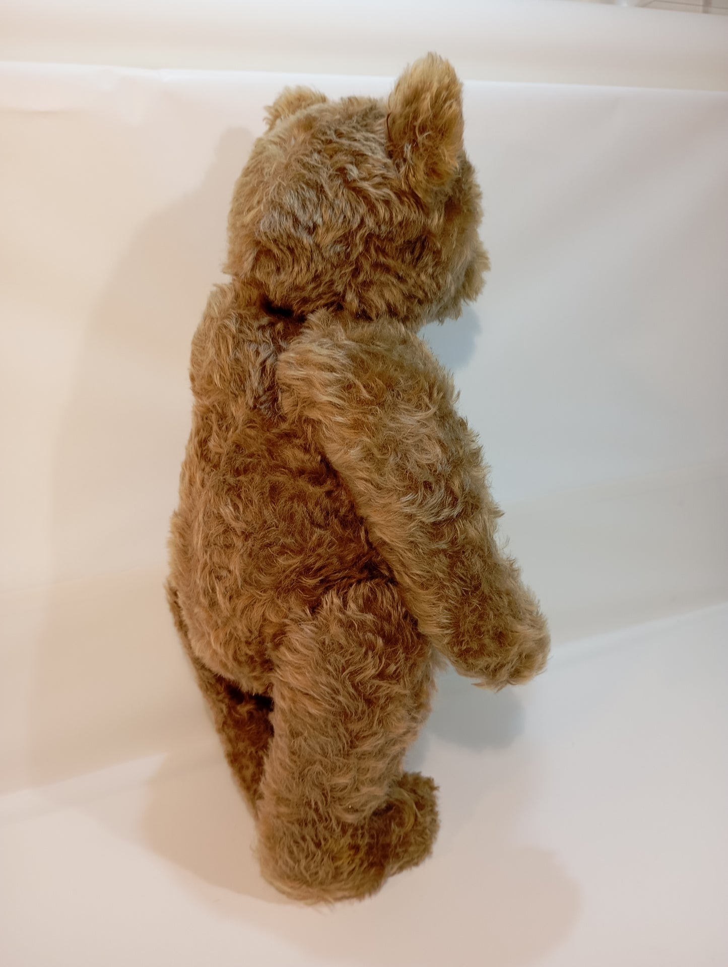 Steiff Bär Nr. 5350,02 Original Teddy mit Knopf (73279)
