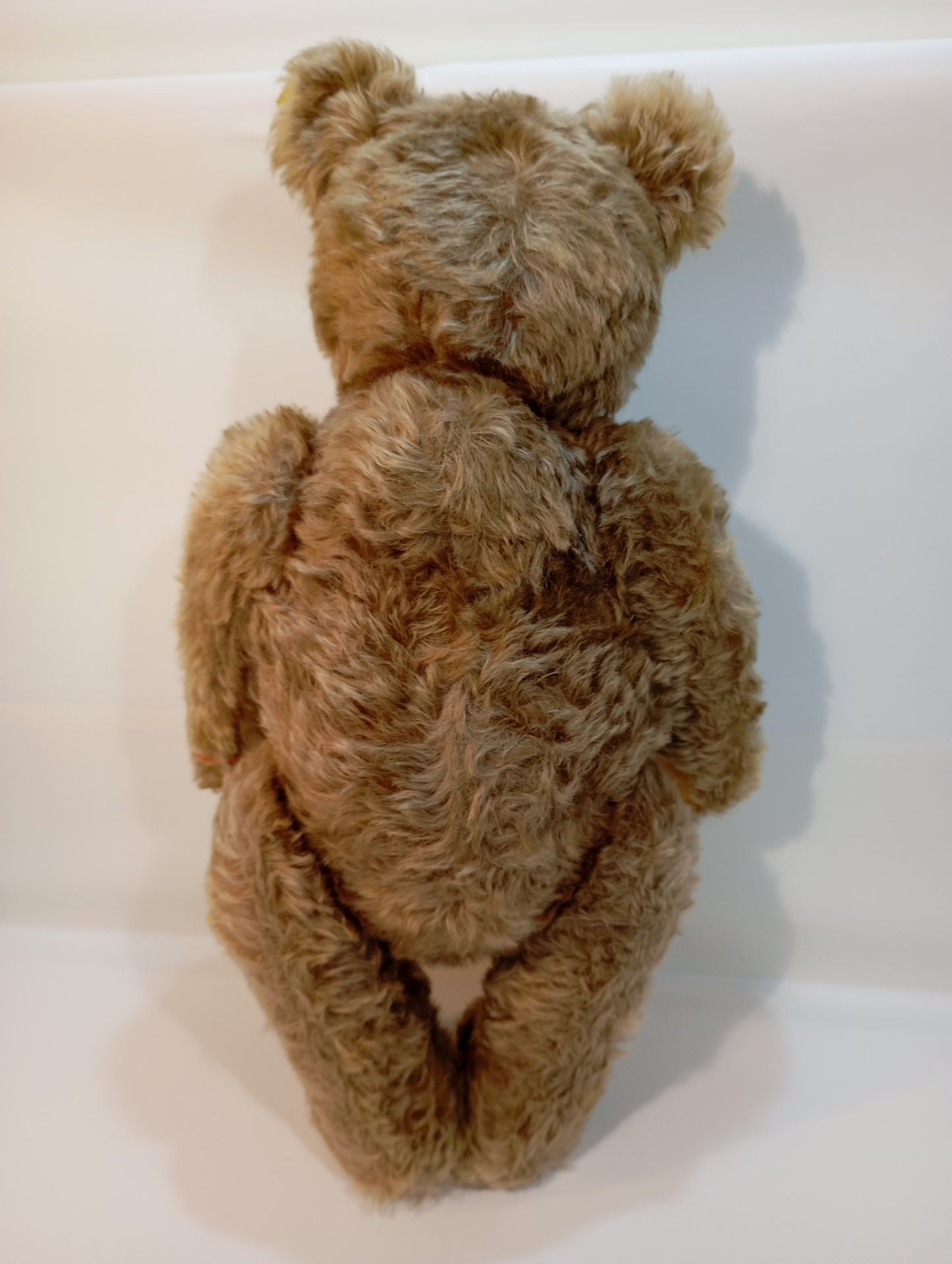 Steiff Bär Nr. 5350,02 Original Teddy mit Knopf (73279)