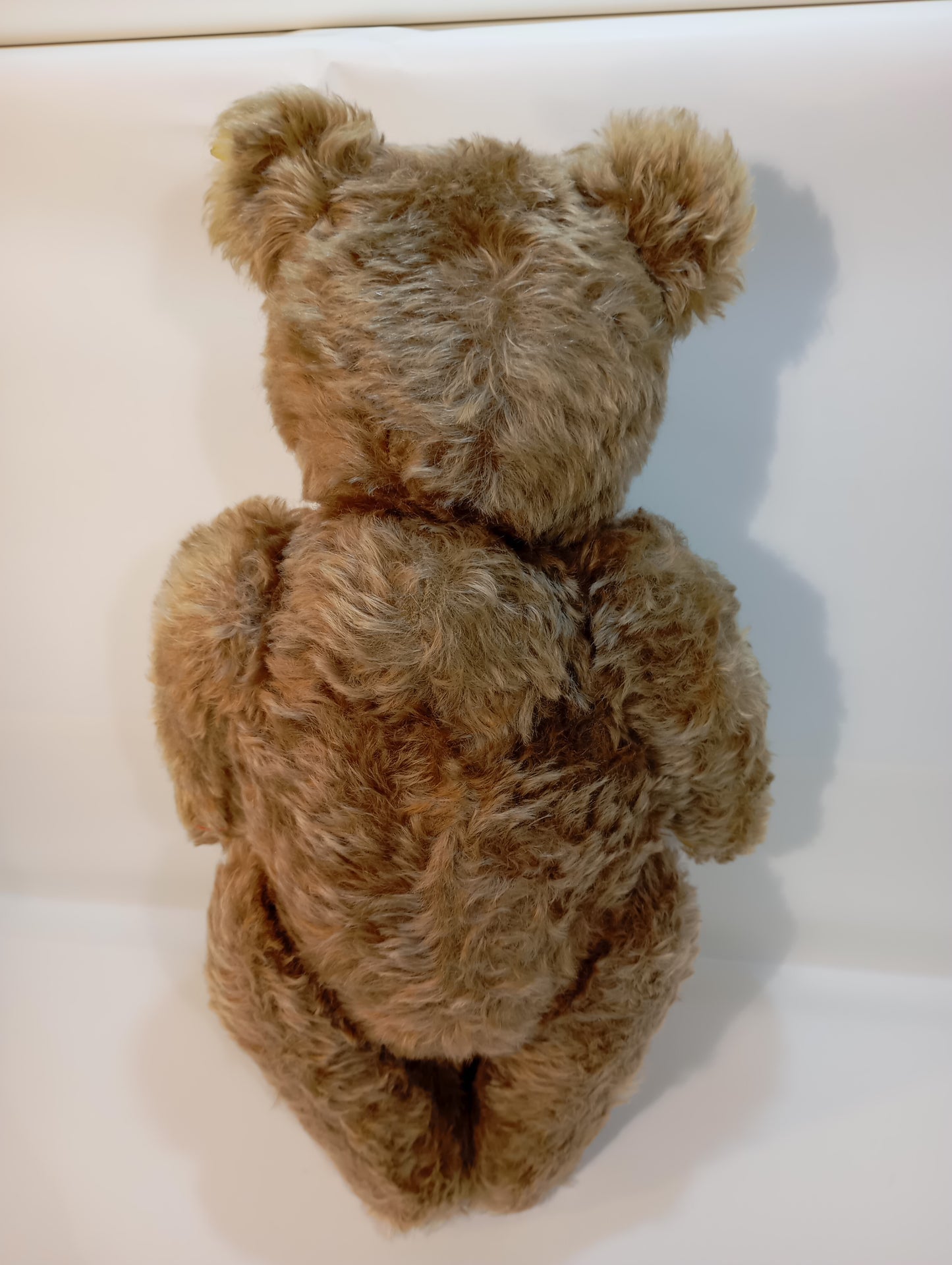 Steiff Bär Nr. 5350,02 Original Teddy mit Knopf (73279)