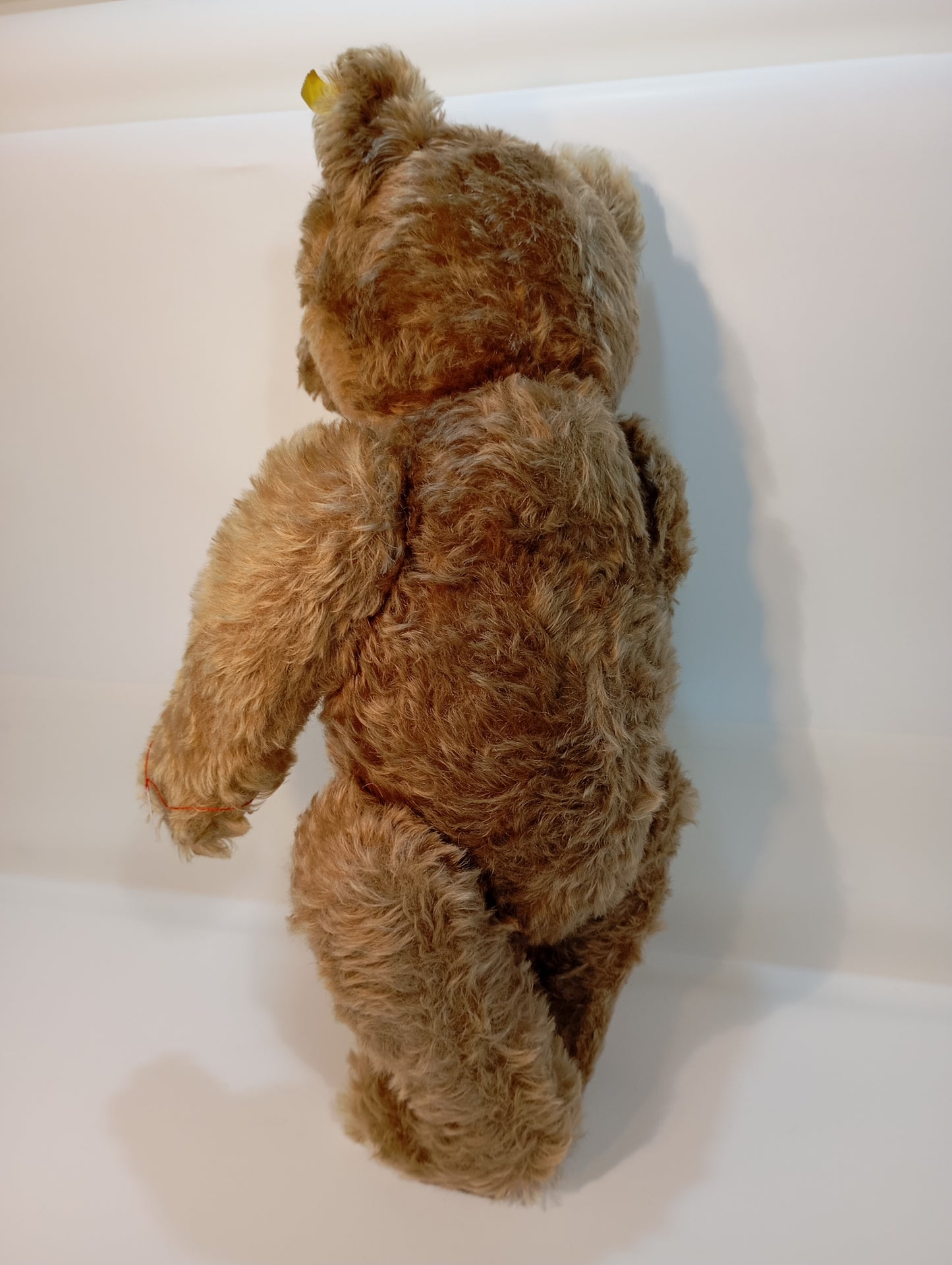 Steiff Bär Nr. 5350,02 Original Teddy mit Knopf (73279)