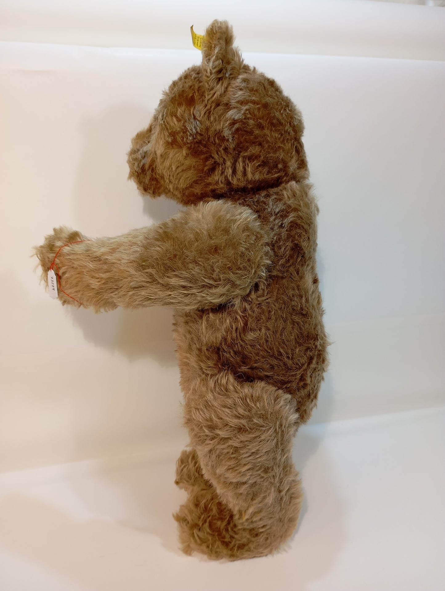 Steiff Bär Nr. 5350,02 Original Teddy mit Knopf (73279)