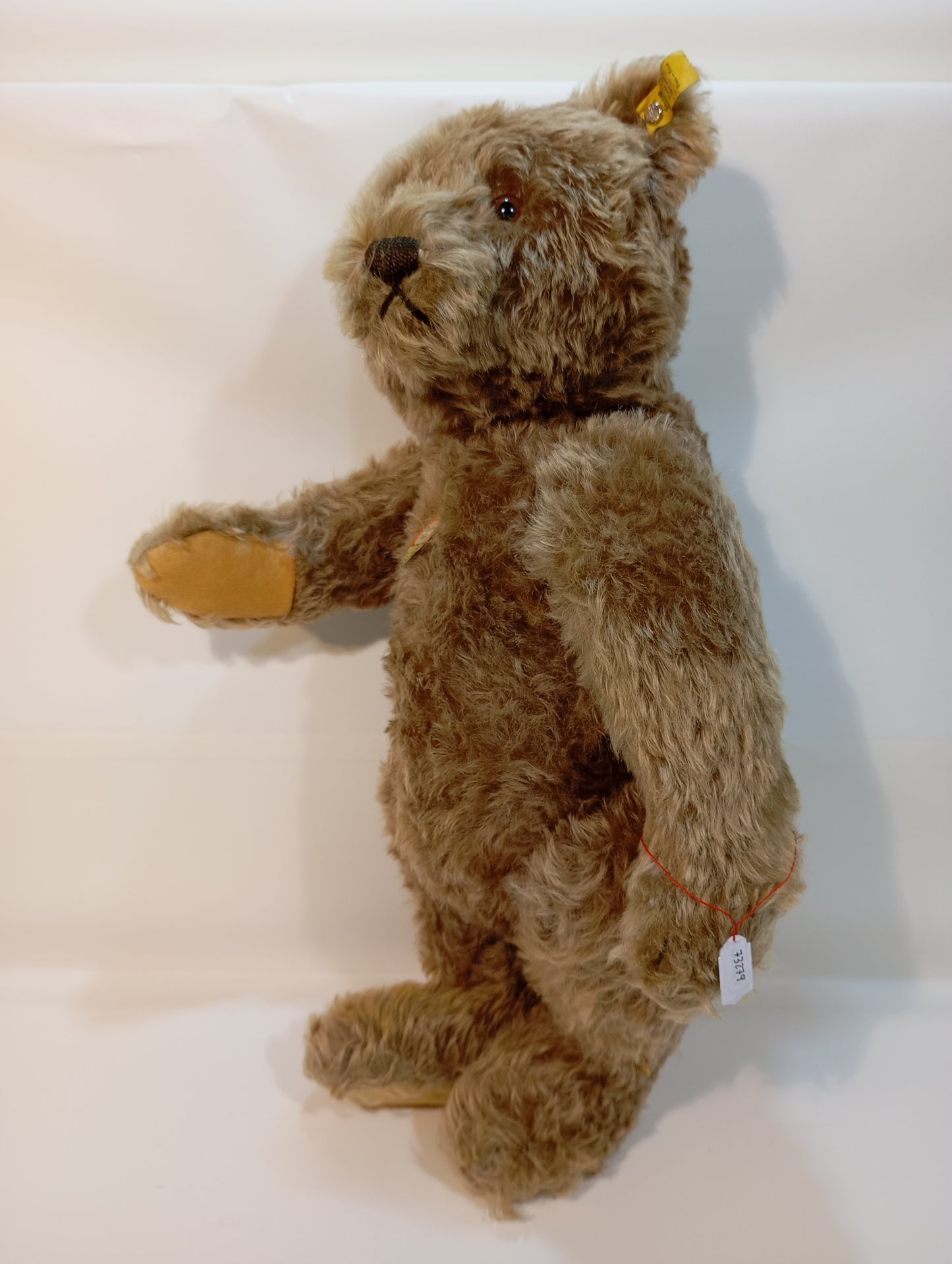 Steiff Bär Nr. 5350,02 Original Teddy mit Knopf (73279)