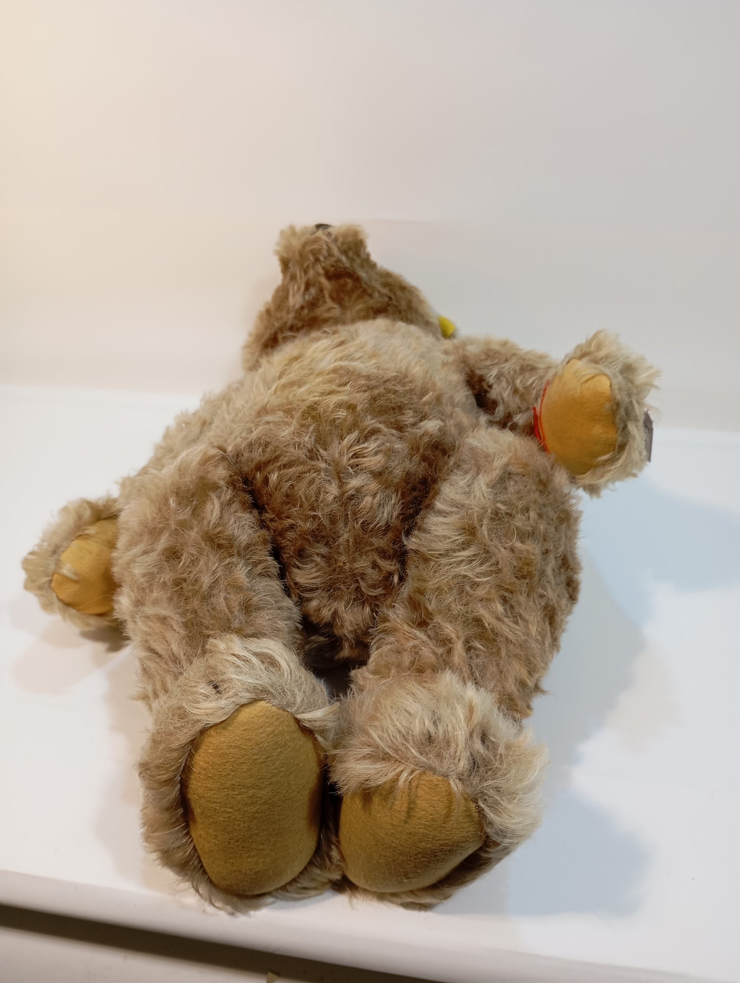Steiff Bär Nr. 5350,02 Original Teddy mit Knopf (73279)