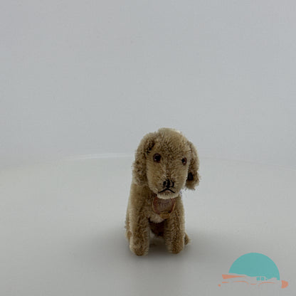 Steiff Vorkiegs Hund "Treff" (75662)