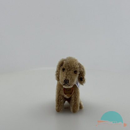 Steiff Vorkiegs Hund "Treff" (75662)