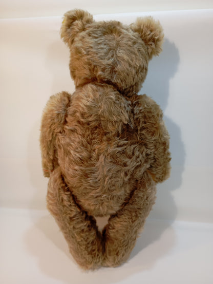 Steiff Bär Nr. 5350,02 Original Teddy mit Knopf (73279)