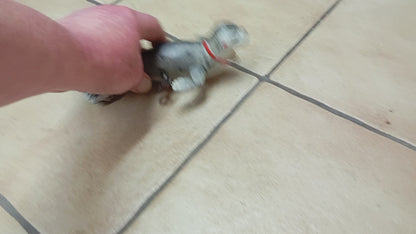 Lehmann der zahme Seehund im Originalkarton (74151)