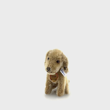 Steiff Vorkiegs Hund "Treff" (75662)